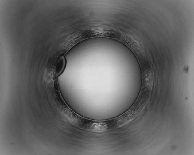 X0000101230275200806271518
