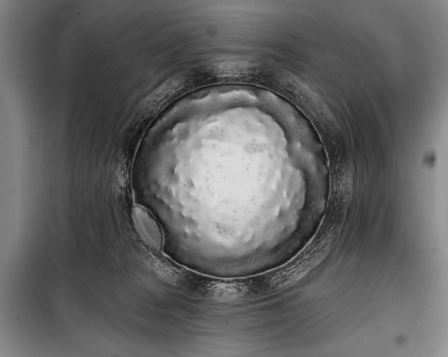 X0000101230277200806271518