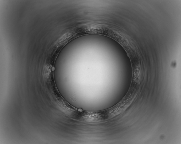 X0000101230278200806271518