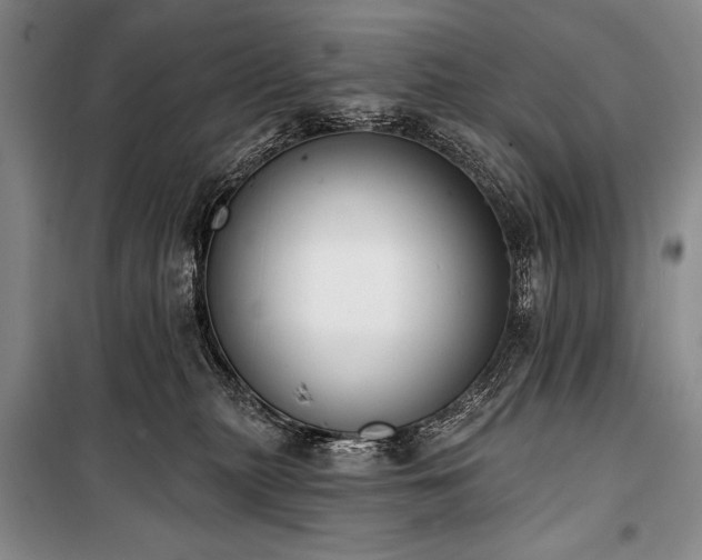 X0000101230279200806271518