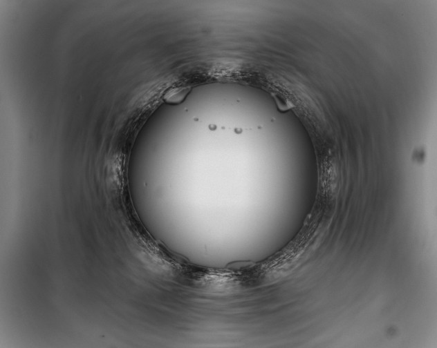 X0000101230280200806271518