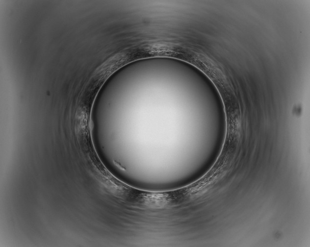 X0000101230281200806271518