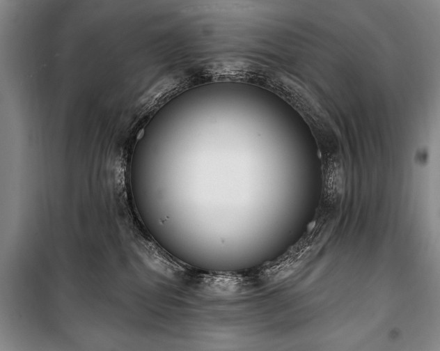 X0000101230282200806271518