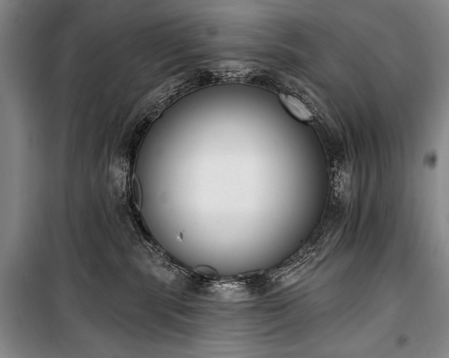X0000101230283200806271518