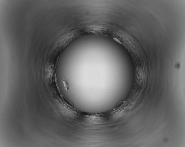 X0000101230284200806271518