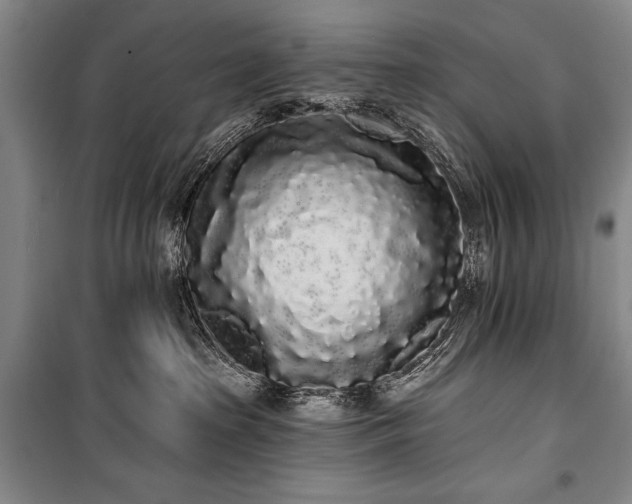 X0000101230285200806271518