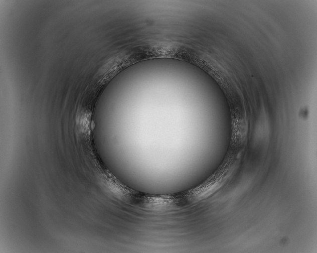 X0000101230286200806271518