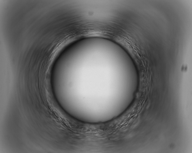 X0000101230289200806271518