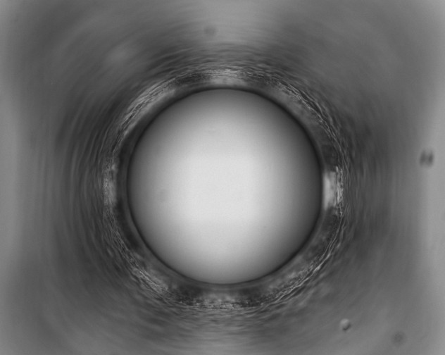 X0000101230291200806271518