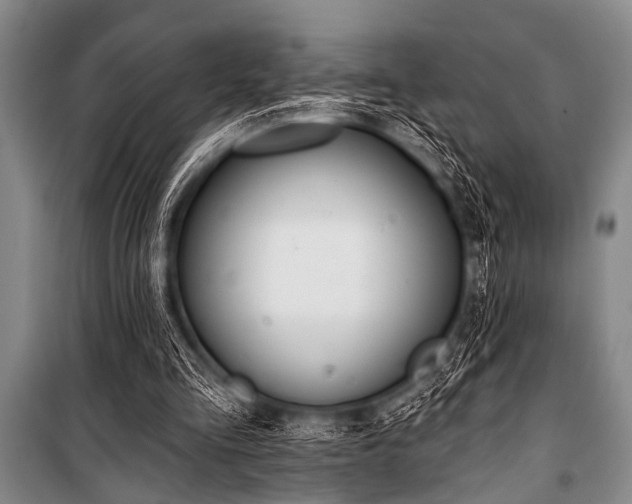 X0000101230293200806271518