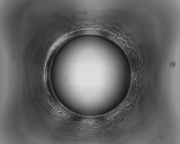 X0000101230294200806271518