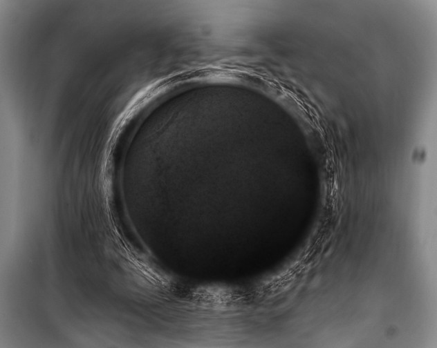 X0000101230295200806271518