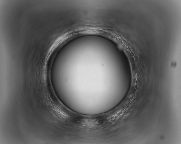X0000101230296200806271518