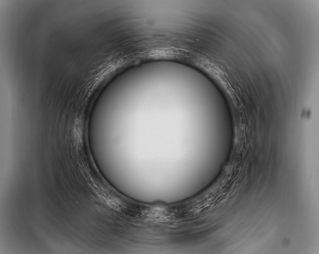 X0000101230297200806271518