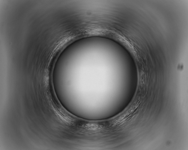 X0000101230298200806271518