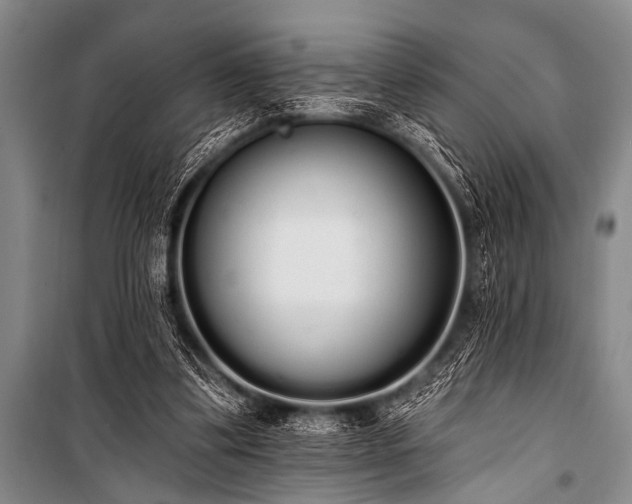 X0000101230299200806271518