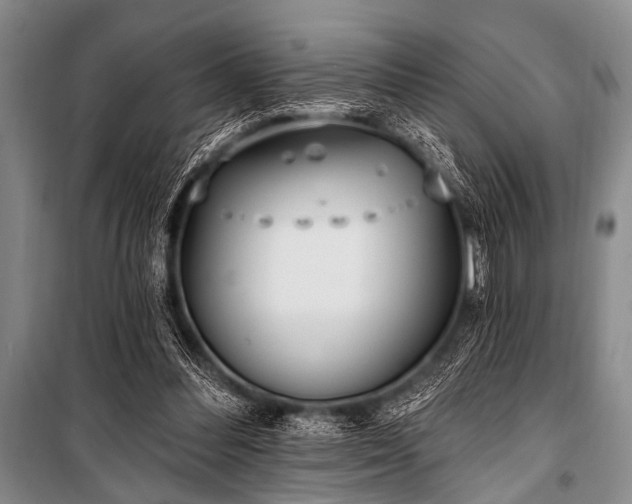 X0000101230300200806271518