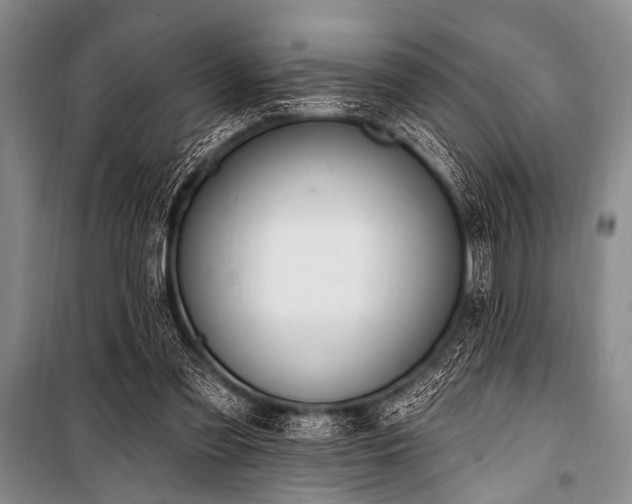 X0000101230301200806271518