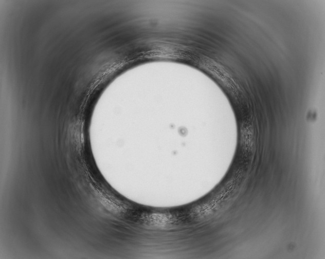 X0000101230302200806271518