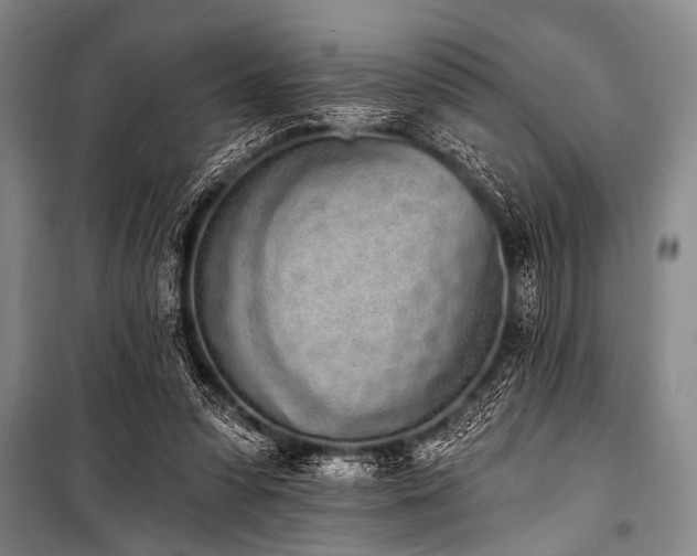 X0000101230303200806271518