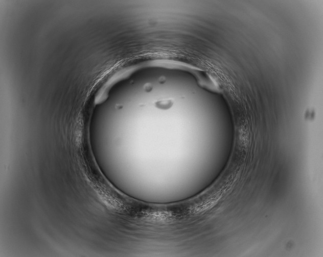 X0000101230304200806271518