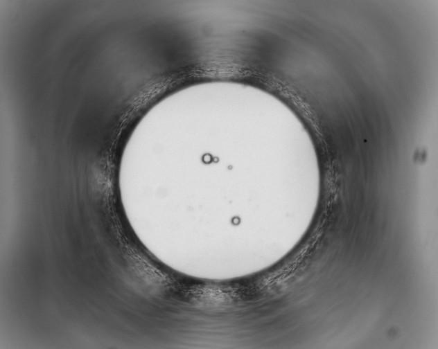 X0000101230305200806271518