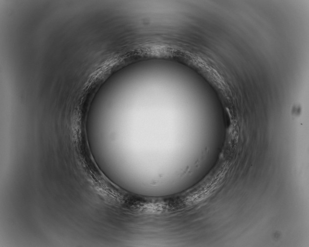 X0000101230306200806271518