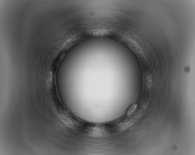 X0000101230308200806271517
