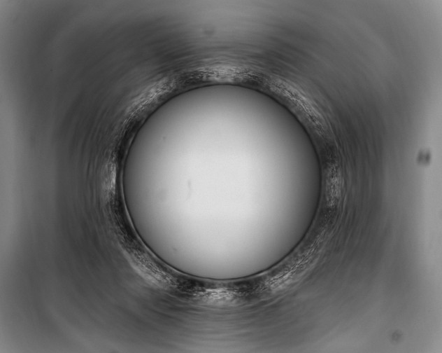 X0000101230310200806271517