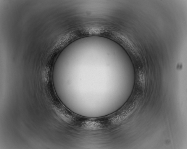 X0000101230311200806271517