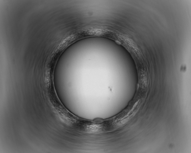 X0000101230312200806271517