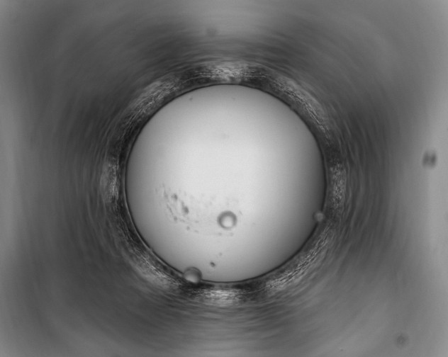 X0000101230313200806271517