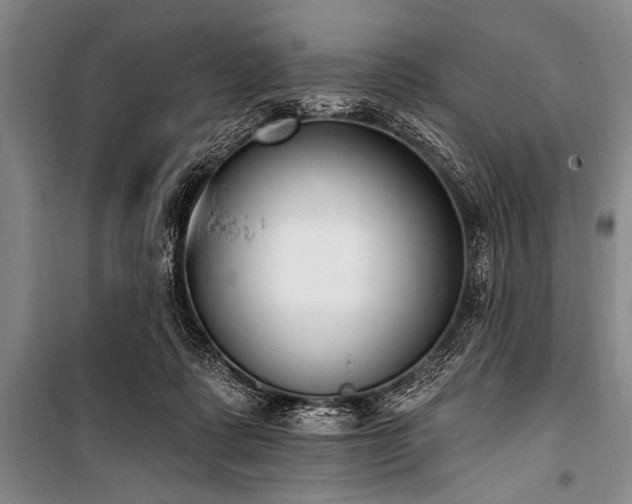 X0000101230315200806271517
