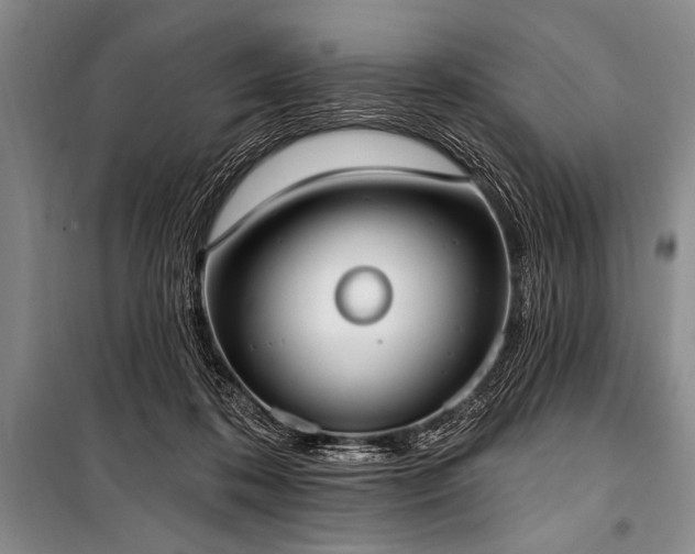 X0000101230316200806271517