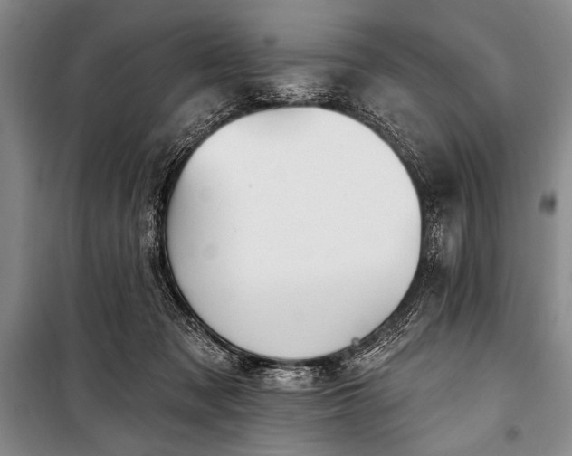 X0000101230317200806271517