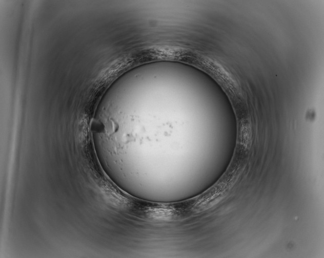 X0000101230318200806271517