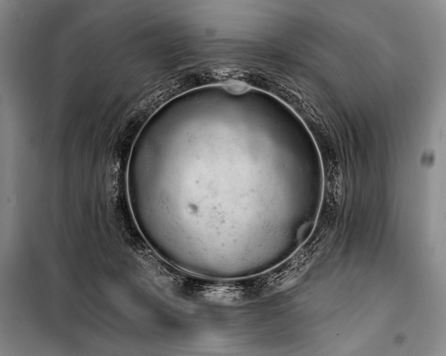X0000101230319200806271517