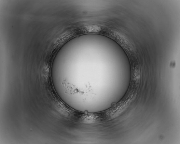 X0000101230321200806271517