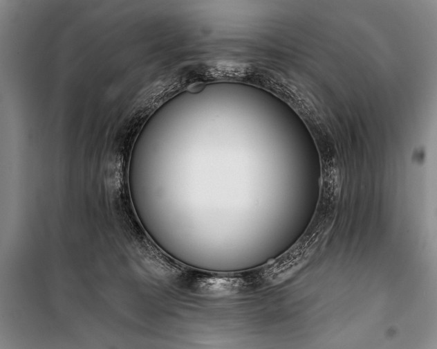 X0000101230323200806271517