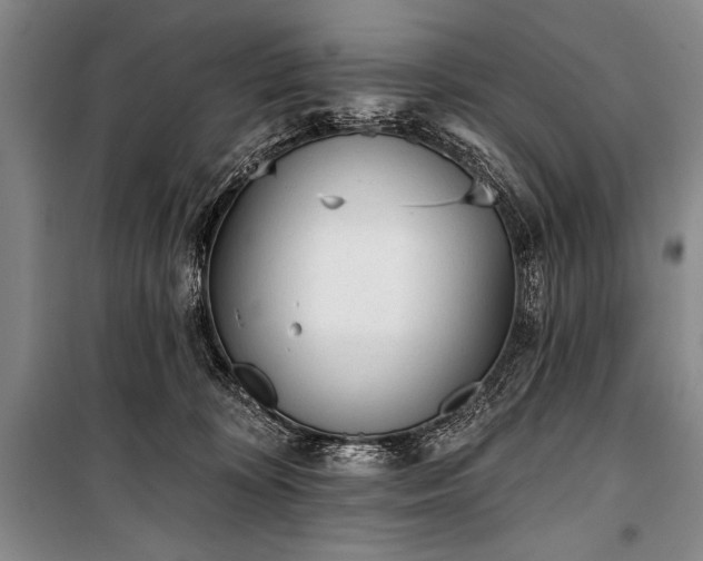 X0000101230324200806271517