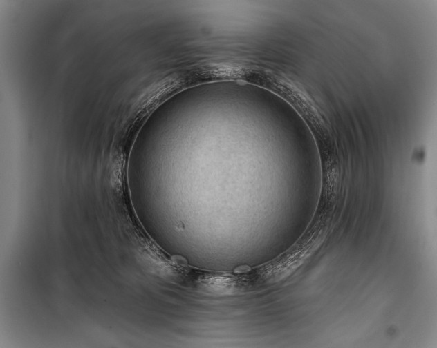 X0000101230325200806271517