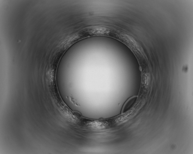 X0000101230326200806271517