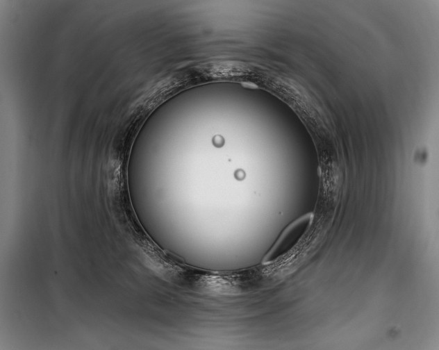 X0000101230327200806271517