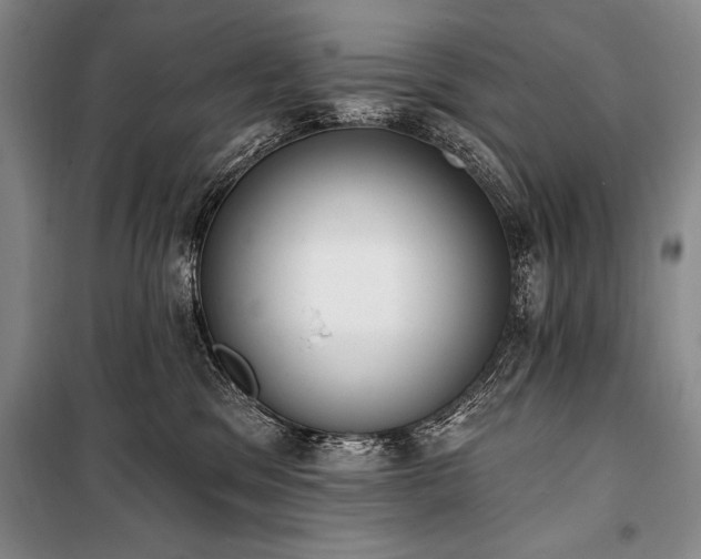 X0000101230329200806271517