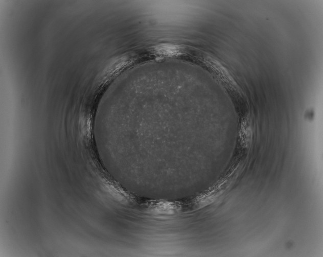 X0000101230330200806271517