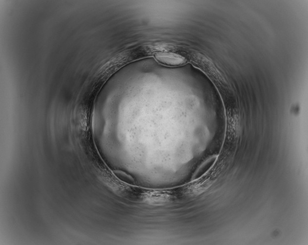 X0000101230331200806271517