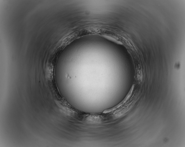 X0000101230332200806271517