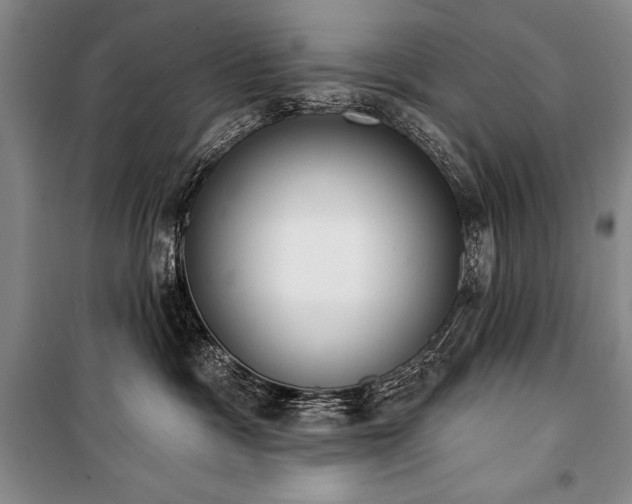 X0000101230333200806271517