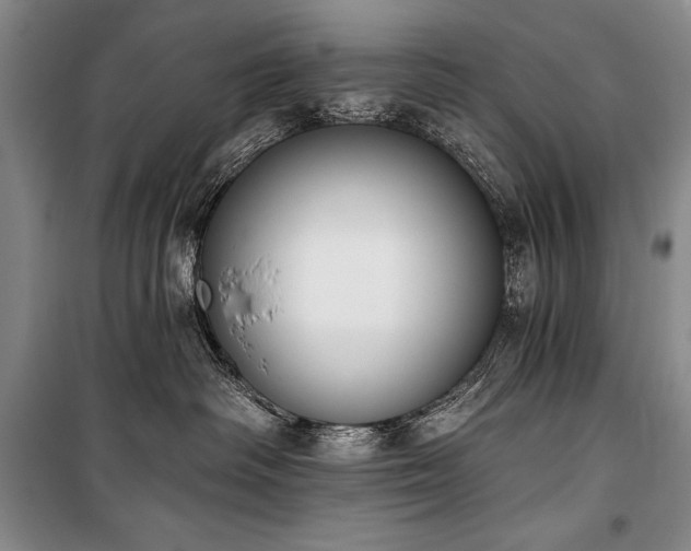 X0000101230334200806271517