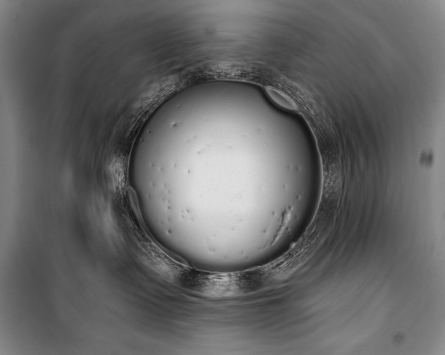 X0000101230335200806271517